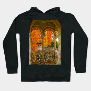 Four Seasons. Autumn. Hoodie